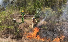 Rừng thông ở Quảng Nam cháy dữ dội nhiều giờ liền