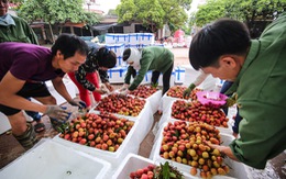 Chủ tịch Bắc Giang đề nghị chống ách tắc nông sản