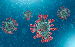 Phát hiện mới về tế bào miễn dịch ở những ca người đã khỏi bệnh COVID-19