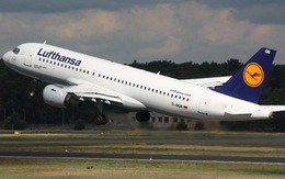 Lufthansa sử dụng công nghệ 'da cá mập' trang bị cho máy bay để giảm khí thải