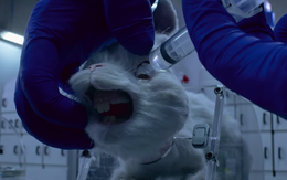 Phim 'Save Ralph' có H'Hen Niê tham gia lên án việc thí nghiệm trên động vật