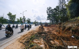 Đà Lạt đốn hạ, di dời hàng loạt cây cổ thụ để mở rộng đường ven hồ Xuân Hương