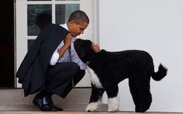 Gia đình Obama vĩnh biệt cún cưng bị ung thư