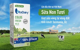 Sữa non tươi nhập khẩu 100% từ Tasmania - Úc