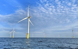 Cơ chế đấu thầu có thể ‘làm khó’ nhà đầu tư điện gió ngoài khơi