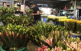 Cúc, ly, lay ơn… xuống nhiều, chợ hoa Đầm Sen nhộn nhịp ngày đầu mở cửa