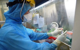 Thái Bình phát hiện 3 ca mắc COVID-19 trong cộng đồng, khẩn cấp dập dịch