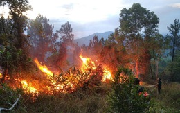 Rừng thông phòng hộ hơn 40 năm tuổi ở Thừa Thiên Huế cháy từ chiều qua tới sáng nay