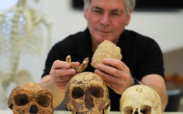 Phát hiện dấu vết của một loài người tiền sử mới tại Israel