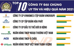 Top 10 công ty đại chúng uy tín và hiệu quả 2021