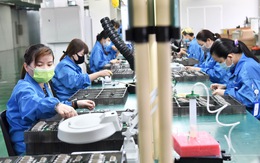 KCX Tân Thuận: Doanh nghiệp hoạt động phải bảo đảm cách ly, lo chỗ ở cho công nhân