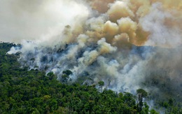 Các nhà khoa học lần đầu xác nhận: Rừng Amazon 'thải' carbon nhiều hơn mức hấp thu