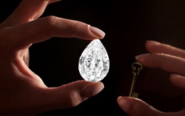 Viên kim cương 101 carat đầu tiên được mua bằng tiền điện tử