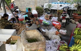 ‘Nhóm dễ thương’ gom hơn 10 tấn rau củ tặng bếp ăn dã chiến, khu vực phong tỏa TP.HCM