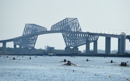 Hàu biển đe dọa điểm thi đấu quan trọng của Olympic Tokyo