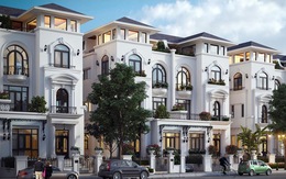 Louis City Hoàng Mai ra mắt giỏ hàng phiên bản giới hạn