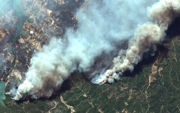 Ảnh cháy rừng ngùn ngụt tàn phá miền nam Thổ Nhĩ Kỳ