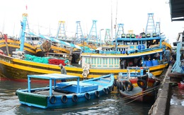 Tàu cá từ đảo Phú Quý đã được phép cập cảng Phan Thiết bốc dỡ hàng hóa