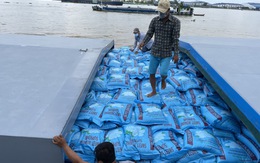 Phí container tăng gần gấp đôi, hàng chục ngàn tấn gạo ‘neo’ trên sông chờ xuất khẩu