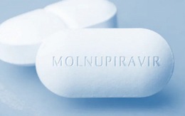 Từ 27-8, TP.HCM đưa thuốc kháng virus Molnupiravir điều trị cho F0 cộng đồng