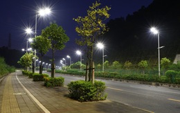 Đèn LED chiếu sáng đường phố làm giảm số lượng côn trùng