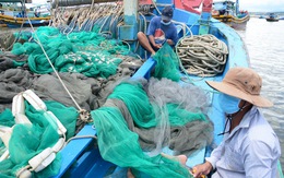 Siết chặt cảng cá Phan Thiết do liên quan nhiều ca COVID-19 cộng đồng