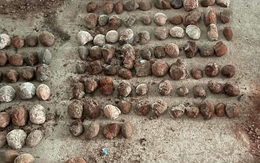 Triệt phá xưởng sản xuất ma túy, tìm thấy 542 hóa thạch trứng khủng long