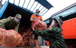 TP.HCM đã đón nhận hơn 5.500 tấn nông sản sạch Lâm Đồng gửi tặng