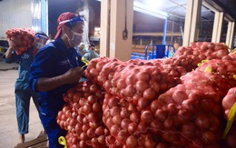 Hành tây Lào Cai, bắp cải Đà Lạt... nhộn nhịp đổ về điểm tập kết tại chợ đầu mối Hóc Môn