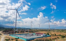 Trungnam Group hoàn thành vận hành thương mại nhà máy điện gió 46,2 MW tại Ninh Thuận