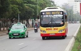 Nghệ An cho xe buýt, taxi, xe khách nội tỉnh chạy lại, tài xế phấn khởi