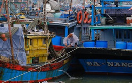 Ngư dân Đà Nẵng mang tàu thuyền lên đường, néo vô cây... đề phòng bão số 6