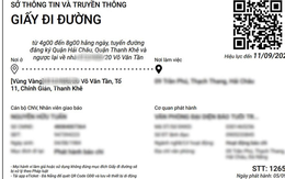 Đà Nẵng đã cấp hơn 92.000 giấy đi đường qua hình thức trực tuyến