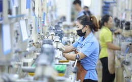 ILO dự báo 1,3 triệu lao động Việt Nam sẽ thất nghiệp năm 2022