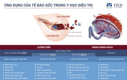Cryoviva Vietnam hỗ trợ điều trị máu cuống rốn đến 300 triệu đồng