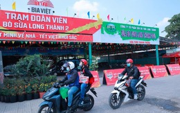 Hết mình về quê: Hành trình khởi sắc của tết Việt
