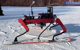 Robot trượt tuyết có thể tranh tài cùng các vận động viên