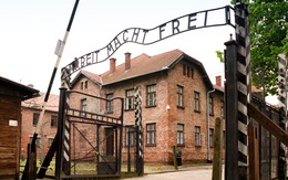 Đùa dại tại trại tử thần Auschwitz, nữ du khách bị bắt