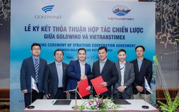 Chiến lược vươn ra biển giúp thúc đẩy ngành năng lượng điện gió