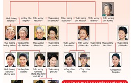 Hoàng gia Nhật ngày càng neo người, hiện chỉ có 17 người