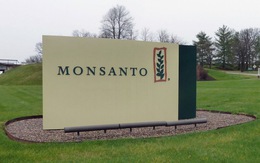 Mỹ xử người Trung Quốc làm nội gián trong Tập đoàn Monsanto