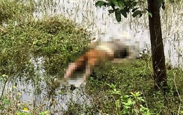 Phát hiện thi thể một người đàn ông tại khu đất trống ở Hà Tĩnh