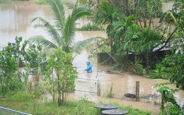 Quảng Nam: Sông Thu Bồn đã làm ngập khu dân cư, sông Vu Gia đang lên nhanh