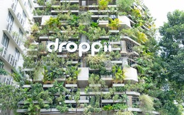 Droppii ra mắt văn phòng xanh Droppii Growth Hub