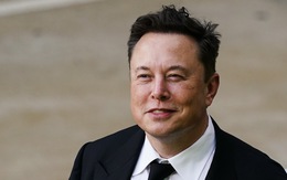 Tỉ phú Elon Musk hay giám đốc điều hành Twitter - ai đang bị điều tra liên bang?