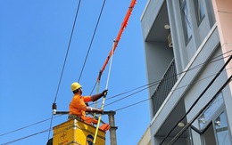 PC Đà Nẵng nỗ lực giảm thiểu các vi phạm hành lang an toàn lưới điện