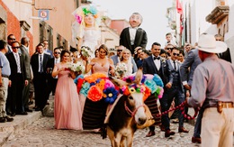 Ngành tổ chức lễ cưới trỗi dậy ở Mexico