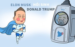 Elon Musk 'hồi sinh' tài khoản Twitter của cựu tổng thống Donald Trump?