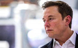 Elon Musk thông báo sửa quy trình xác minh người dùng Twitter: ‘Tick xanh’ phải trả phí?