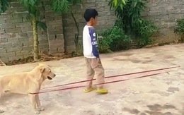 Chó bất lực khi phải đứng căng dây cho cậu chủ nhảy
